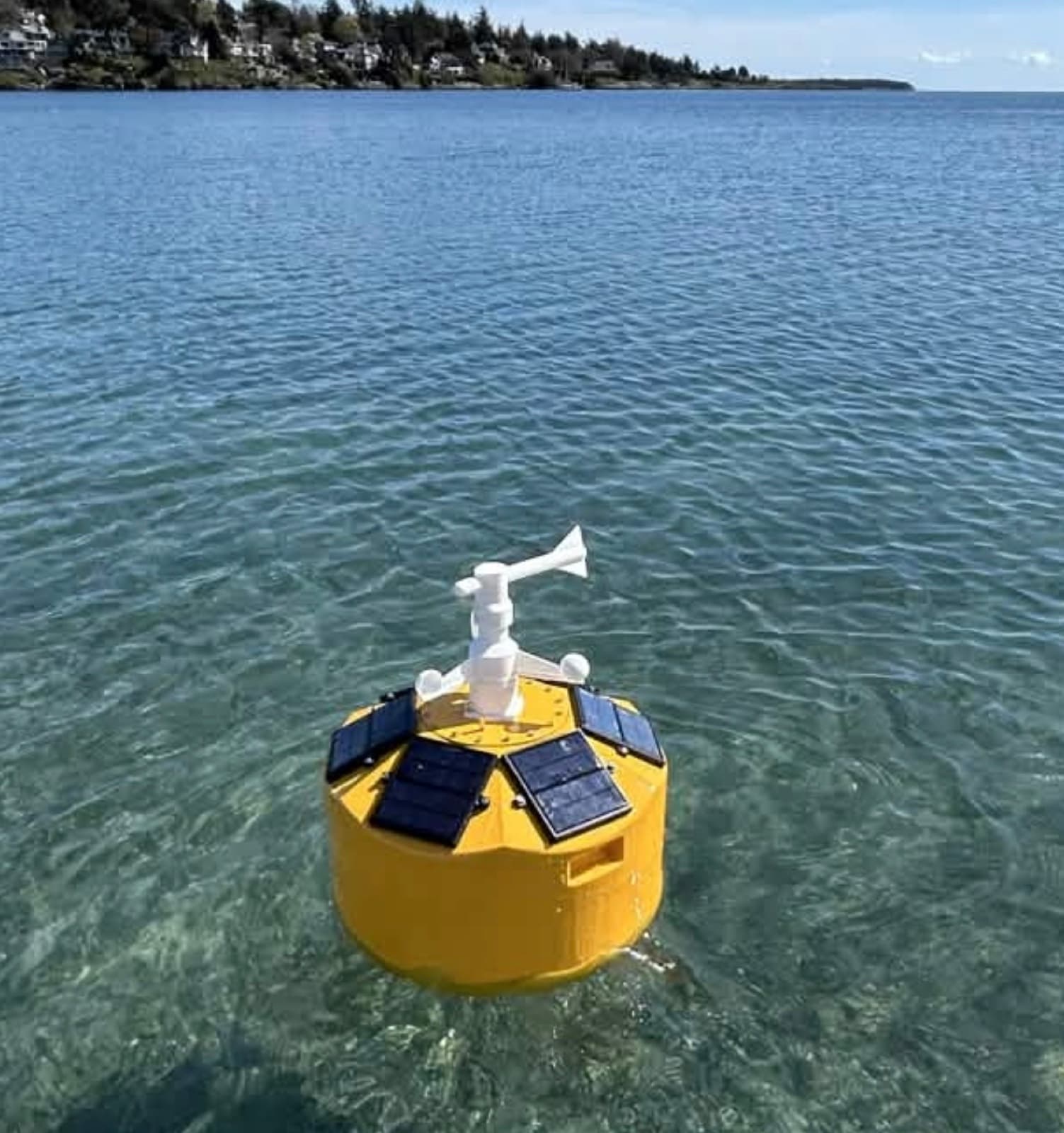 Low-Cost Smart Buoy for Near-Shore Wave & Weather Monitoring